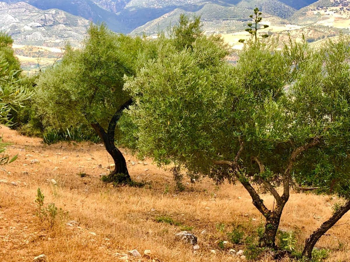 El Oasis Villa Algodonales Bagian luar foto