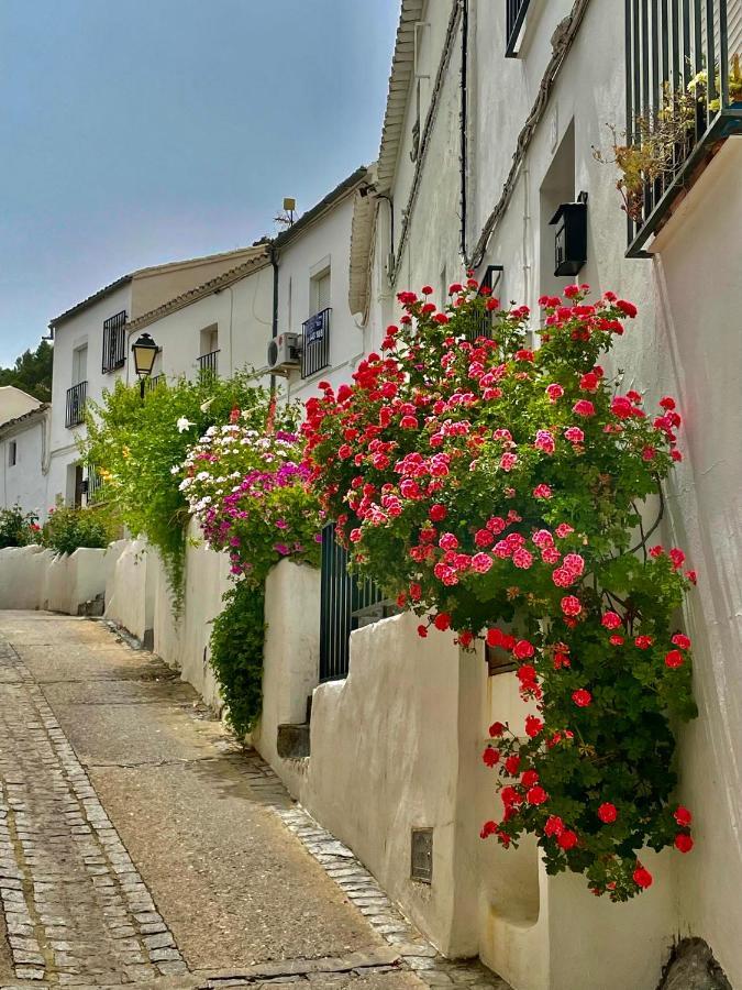 El Oasis Villa Algodonales Bagian luar foto